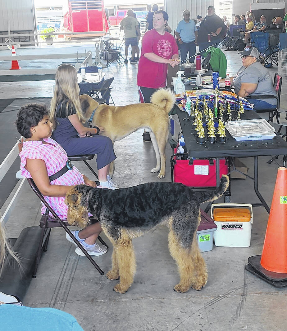 Behind the scenes at the Jr. Fair Dog Show Wilmington News Journal